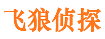 柳城外遇调查取证